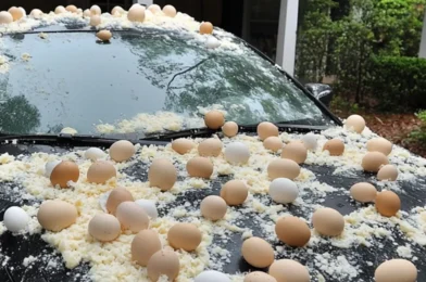 “My Neighbor Threw Eggs at My Car Because It Was ‘Blocking the View’ of His Halloween Decorations: How I Got the Last Laugh”