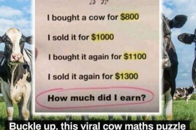 “Cow Math Puzzle: A Quick Challenge for Your Mind!”